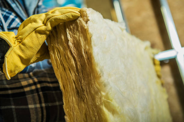 Best Fiberglass Insulation  in Galls, IN